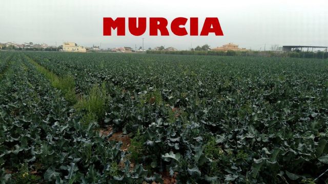 Vídeo Murcia, ¿esencia de huerta? ¿Alma de ciudad? - 1, Foto 1