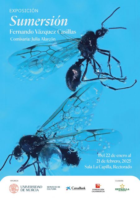 Sumersión: La Reflexión Fotográfica de Fernando Vázquez Casillas Sobre la Muerte y la Sociedad Contemporánea - 1, Foto 1