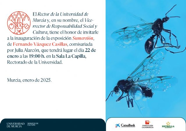 Sumersión: La Reflexión Fotográfica de Fernando Vázquez Casillas Sobre la Muerte y la Sociedad Contemporánea - 2, Foto 2