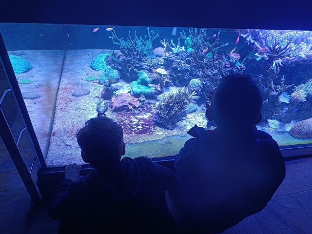 Más de un centenar de alumnos han sido científicos por un día gracias a las actividades educativas de #MurciaMiCiudadEnseña del Ayuntamiento - 2, Foto 2