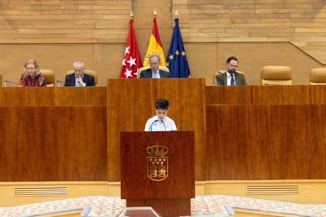 Pleno infantil en la Asamblea de Madrid - 1, Foto 1
