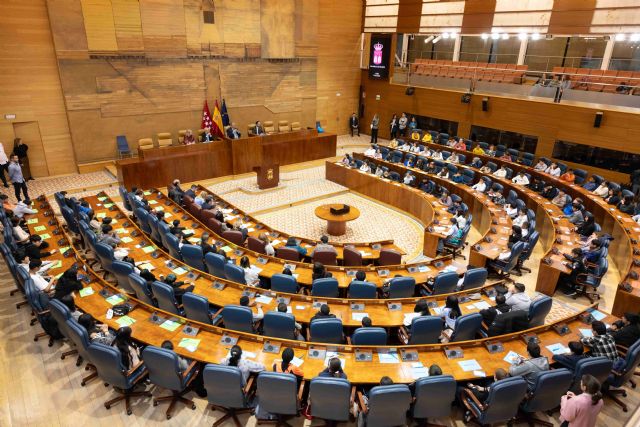 Pleno infantil en la Asamblea de Madrid - 2, Foto 2