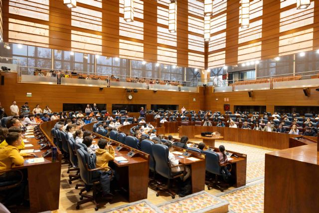 Pleno infantil en la Asamblea de Madrid - 3, Foto 3