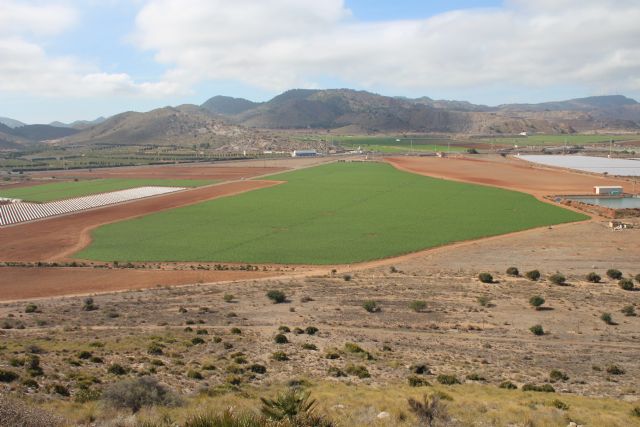 La CHS avanza en la digitalización del registro de aguas - 1, Foto 1
