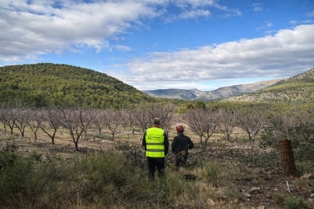 Life Token CO2 arranca en Moratalla y amplía su despliegue forestal en el sureste peninsular - 2, Foto 2