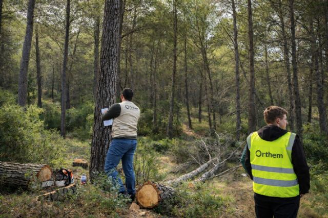 Life Token CO2 arranca en Moratalla y amplía su despliegue forestal en el sureste peninsular - 4, Foto 4