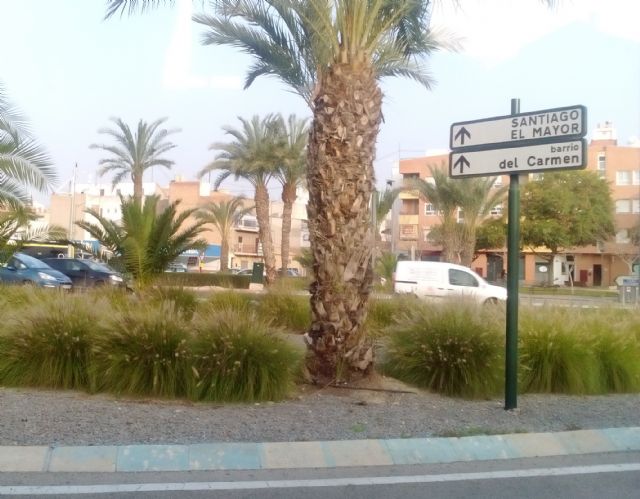 Ahora Murcia demanda la erradicación en los espacios públicos de la planta invasora ´rabo de gato´ - 1, Foto 1