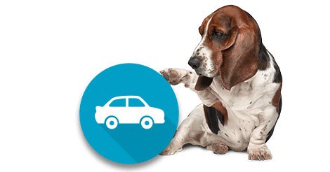 La prima del seguro de Auto cae un 6,3% en 2018 - 1, Foto 1