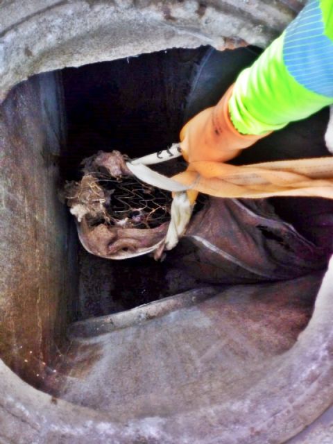 Aguas de Lorca retira un colchón que obstruía la red de aguas pluviales - 4, Foto 4