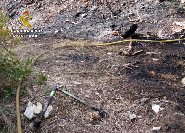 La Guardia Civil esclarece un incendio forestal con un investigado - 2, Foto 2