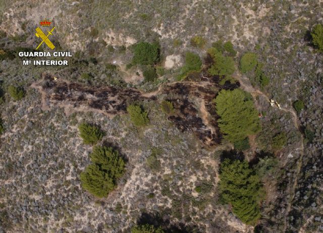 La Guardia Civil esclarece un incendio forestal con un investigado - 4, Foto 4
