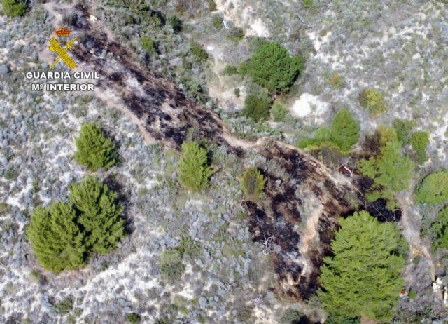 La Guardia Civil esclarece un incendio forestal con un investigado - 5, Foto 5