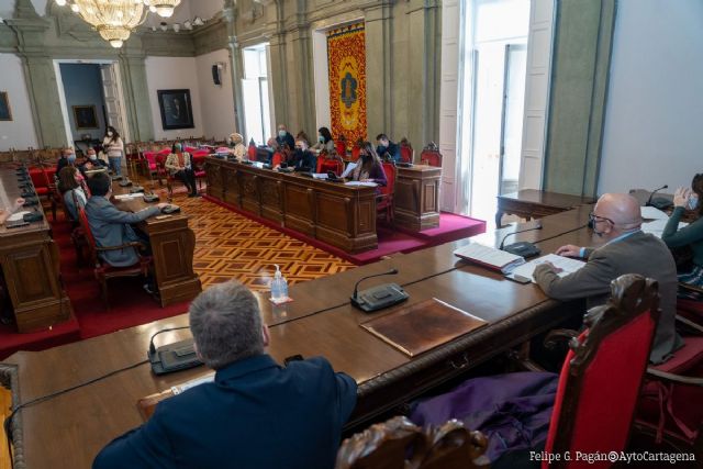 La Comisión de Hacienda informa favorablemente los proyectos de ordenanza de tenencia de animales y el plan antifraude - 1, Foto 1