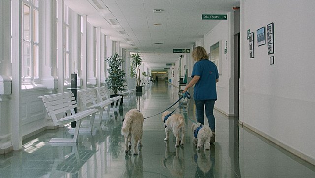 Descubre por qué las mascotas son el gran apoyo de los más pequeños en los Hospitales - 3, Foto 3