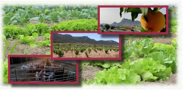 Claves de la nueva PAC y su impacto en Murcia - 1, Foto 1