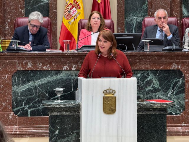 El Grupo Parlamentario Socialista realiza dos interpelaciones al Gobierno regional - 2, Foto 2