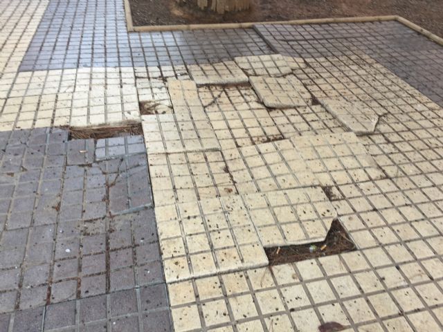 Ciudadanos pedirá mañana en el Pleno el arreglo de varias plazas y medianas en Los Dolores, Barrio Peral y El Ensanche - 3, Foto 3