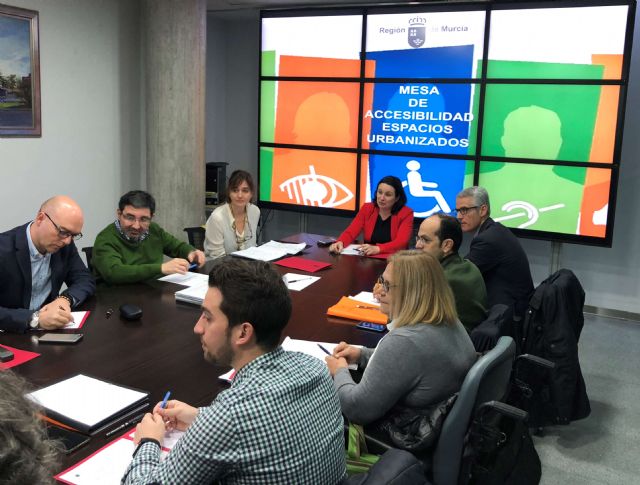 Fomento avanza en el desarrollo del reglamento de la Ley de Accesibilidad Universal - 1, Foto 1