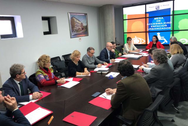 Fomento avanza en el desarrollo del reglamento de la Ley de Accesibilidad Universal - 2, Foto 2