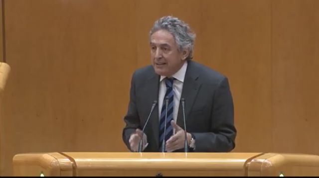 El PP aprueba su moción en el Pleno del Senado, gracias a su mayoría absoluta - 1, Foto 1