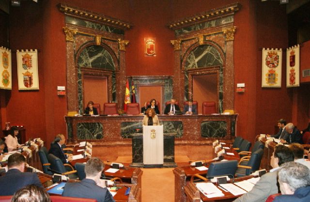 Conclusiones de la comisión especial contra la discriminación y violencia de género - 1, Foto 1