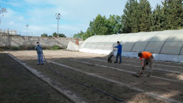 El Ayuntamiento apuesta por un proyecto de recogida de semillas autóctonas para dar vida a nuevos árboles en las zonas verdes del municipio - 1, Foto 1