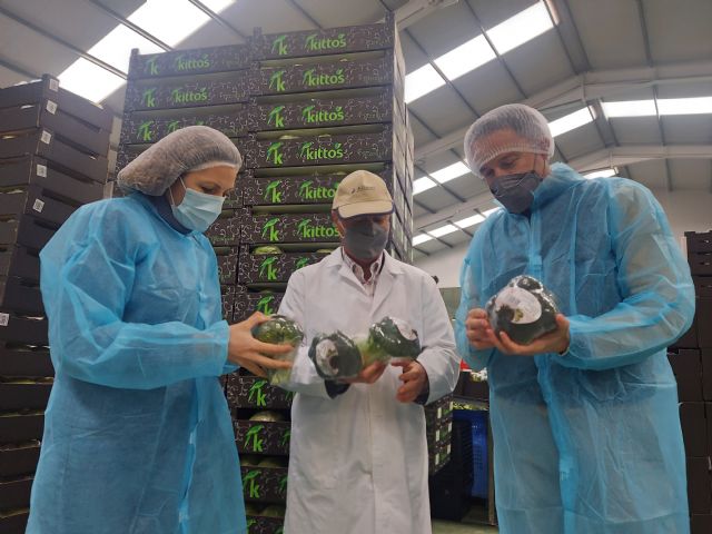 Fulgencio Gil advierte del empeoramiento de la situación en el sector agroalimentario de la comarca: si el campo para, la economía va a caer en picado - 1, Foto 1