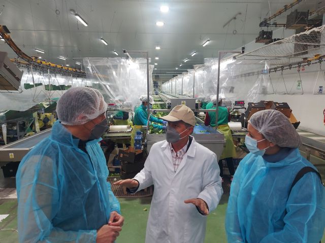 Fulgencio Gil advierte del empeoramiento de la situación en el sector agroalimentario de la comarca: si el campo para, la economía va a caer en picado - 2, Foto 2