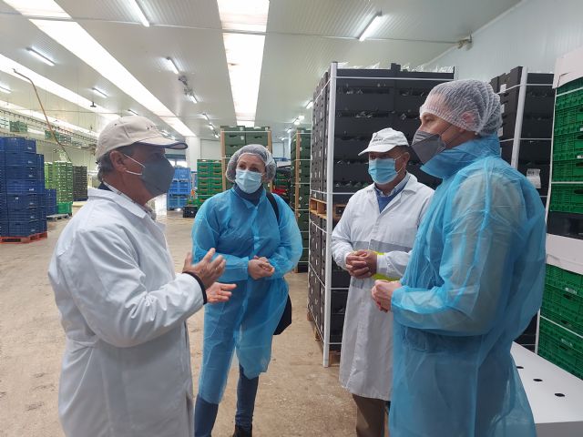 Fulgencio Gil advierte del empeoramiento de la situación en el sector agroalimentario de la comarca: si el campo para, la economía va a caer en picado - 3, Foto 3