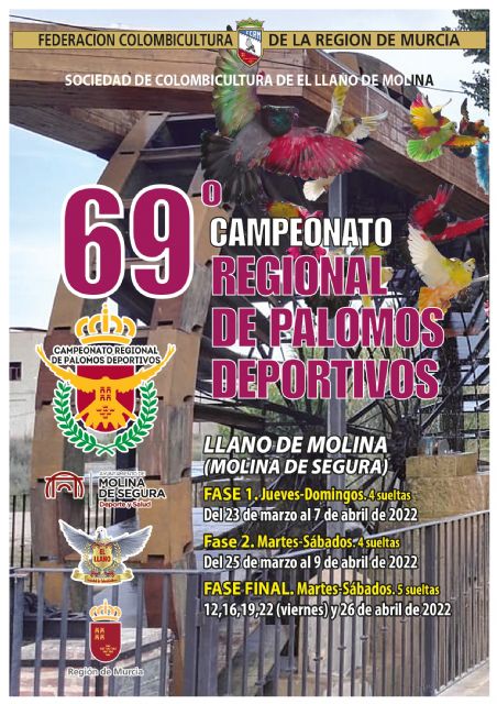 El Llano de Molina acogerá el 69° Campeonato Regional de Palomos Deportivos en el que competirán 200 ejemplares - 4, Foto 4
