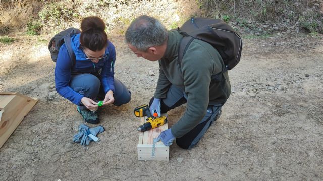 Se ponen en marcha las primeras medidas de conservación de murciélagos forestales en Albacete - 1, Foto 1
