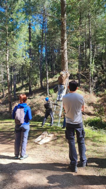 Se ponen en marcha las primeras medidas de conservación de murciélagos forestales en Albacete - 2, Foto 2