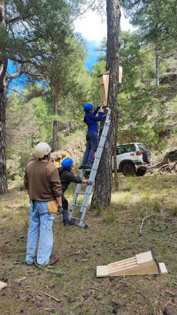 Se ponen en marcha las primeras medidas de conservación de murciélagos forestales en Albacete - 4, Foto 4