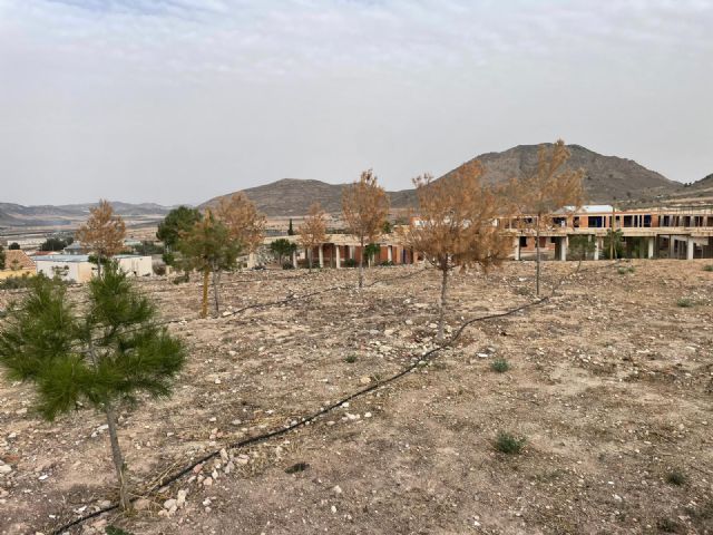 El PSOE de Lorca denuncia el lamentable estado en el que se encuentra el principal parque de La Paca debido a la negligente gestión del Alcalde Fulgencio Gil - 1, Foto 1