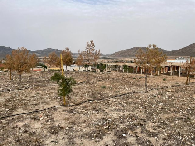 El PSOE de Lorca denuncia el lamentable estado en el que se encuentra el principal parque de La Paca debido a la negligente gestión del Alcalde Fulgencio Gil - 2, Foto 2