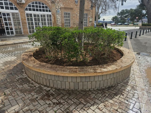 Medio Ambiente y Jardines continúan trabajando en la sostenibilidad de las zonas verdes de Jumilla - 2, Foto 2