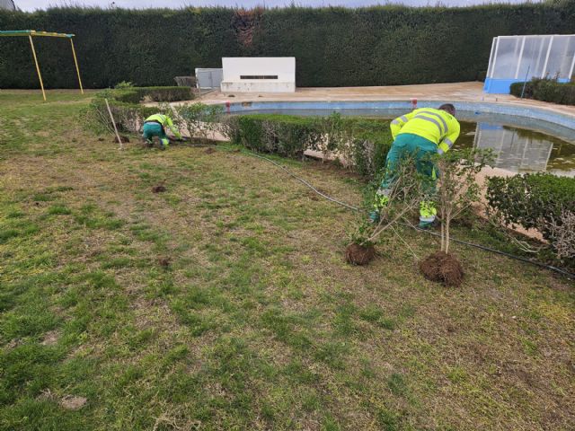 Medio Ambiente y Jardines continúan trabajando en la sostenibilidad de las zonas verdes de Jumilla - 3, Foto 3