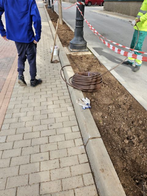 Medio Ambiente y Jardines continúan trabajando en la sostenibilidad de las zonas verdes de Jumilla - 4, Foto 4