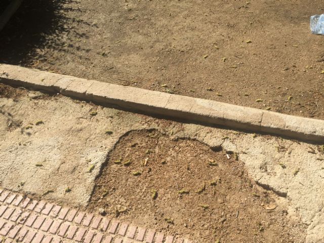 El PSOE exige el arreglo del jardín de Los Almendros, en La Alberca, abandonado desde su construcción con fondos del Plan E - 2, Foto 2