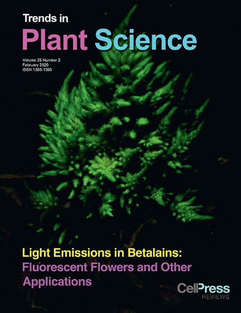 La UMU analiza las aplicaciones biotecnológicas de la fluorescencia en pigmentos vegetales - 1, Foto 1