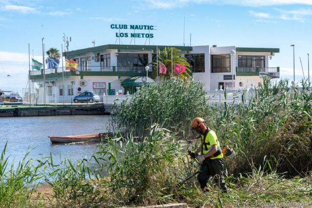 Comienza la retirada de los cañizos de Los Nietos cuya eliminación reclamaban los vecinos - 1, Foto 1