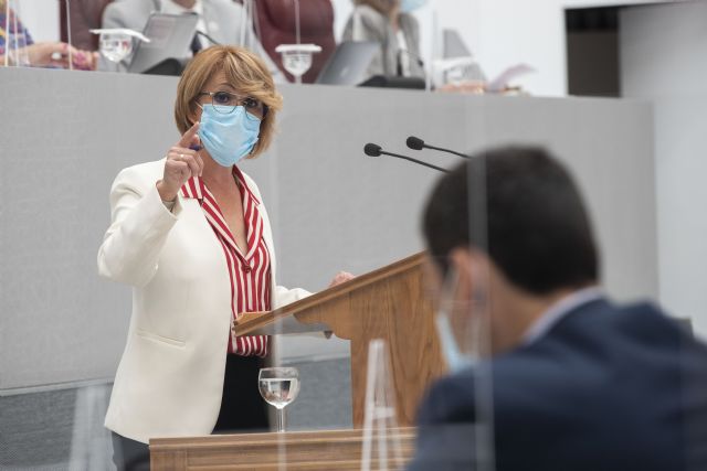 Consa Martínez: El consejero de Fomento es profesional del populismo, la propaganda barata y el oportunismo - 1, Foto 1