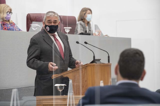 El GP Ciudadanos reclama la defensa del derecho a la propiedad privada frente a la ocupación ilegal - 1, Foto 1