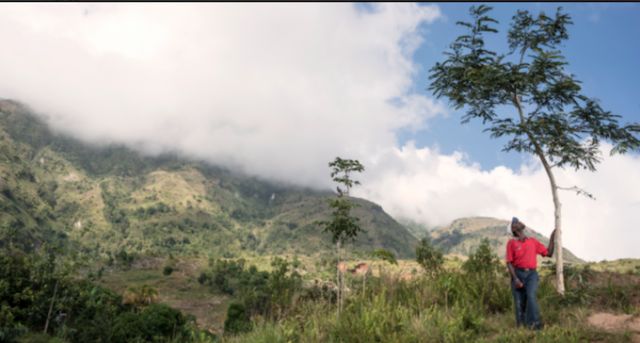 La sostenibilidad cada vez más importante en la decisión de compra online de los españoles - 1, Foto 1