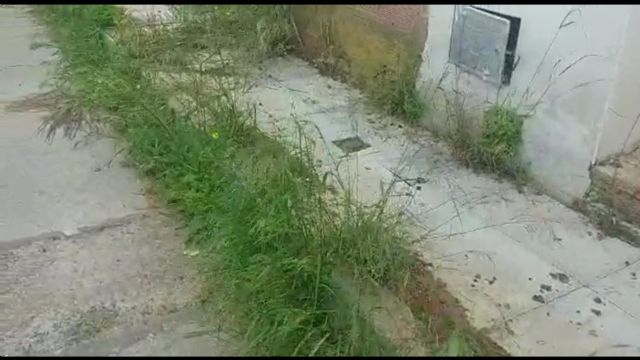 El PP apoya a los vecinos de Zarcilla de Ramos y reclama una intervención urgente para solucionar los problemas provocados por el abandono del actual gobierno local - 1, Foto 1