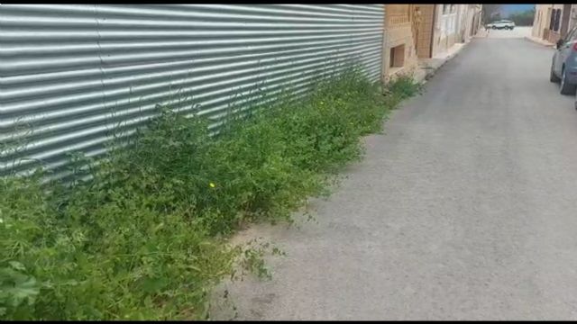 El PP apoya a los vecinos de Zarcilla de Ramos y reclama una intervención urgente para solucionar los problemas provocados por el abandono del actual gobierno local - 2, Foto 2