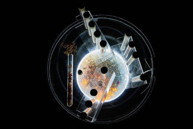 Vuelve RONEM RAM, esta vez desde el Mar Menor - 1, Foto 1