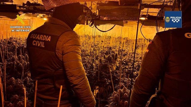 Desmantelada en Alguazas una vivienda utilizada como invernadero tipo indoor para el cultivo masivo de marihuana - 4, Foto 4