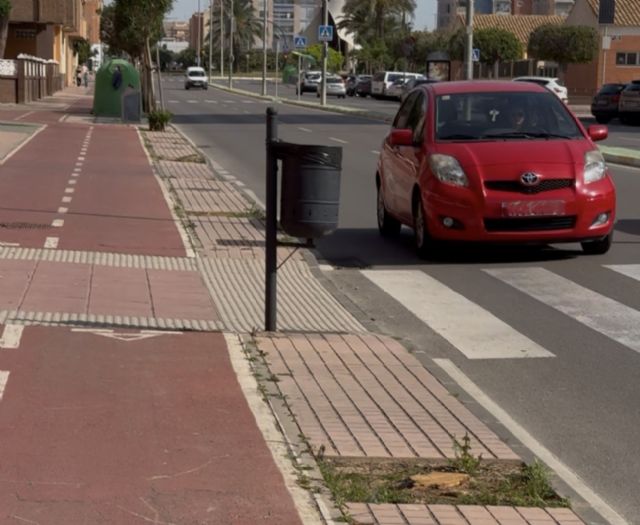 MC: Suciedad, falta de mantenimiento y un arboricidio continuo: la política de Arroyo para el Ensanche - 2, Foto 2