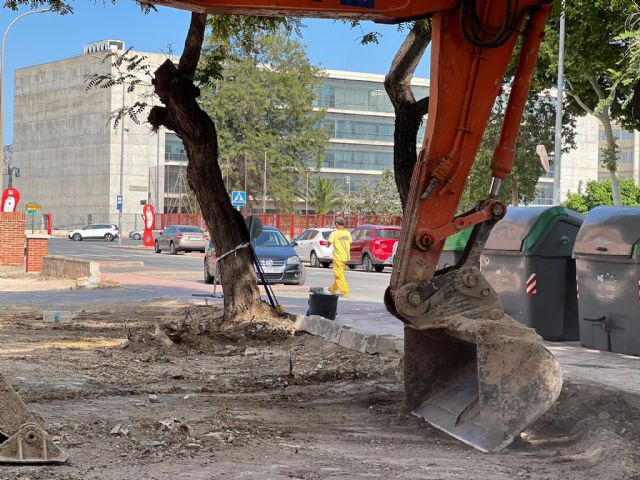 El Ayuntamiento de Murcia activa el plan de limpieza de solares con actuaciones en todo el municipio - 2, Foto 2
